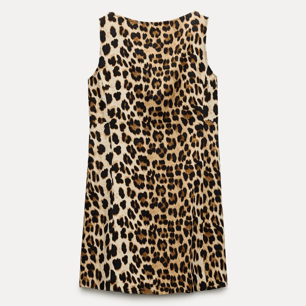 Zara Leopard Animal Print Mini Dress